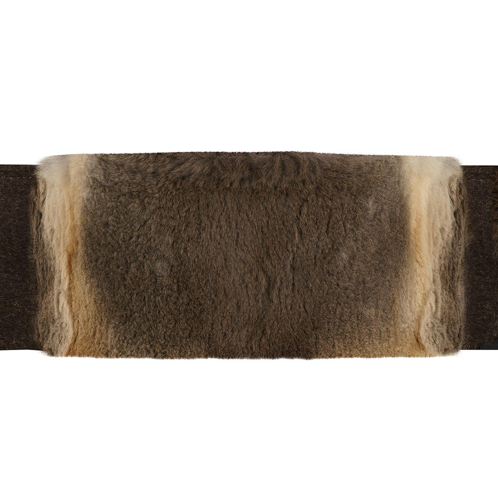Nierengurt, Rotfuchs geschoren, Loden