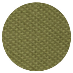 burnt olive