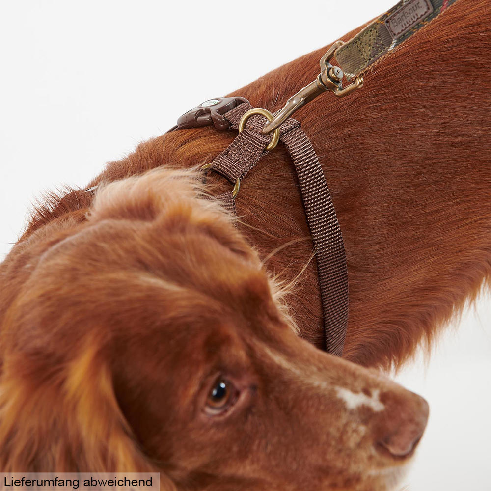 Barbour Hundegeschirr Travel and Exercise, classic tartan