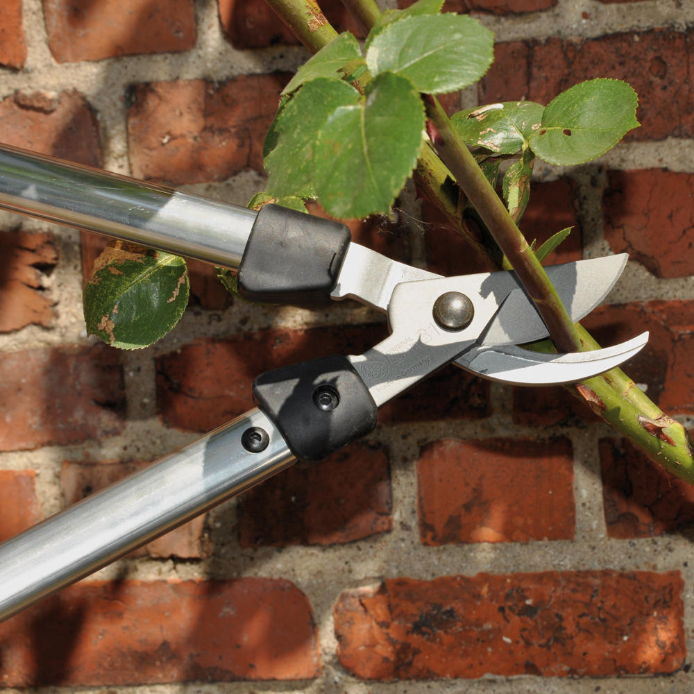 Petit sécateur à branchages bypass Löwe®, longueur 400 mm