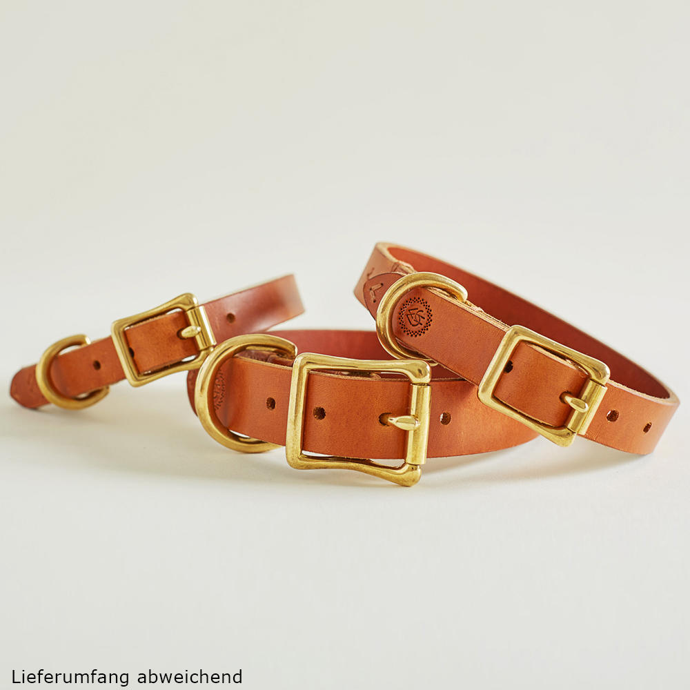 Helen Wells »Classic« Dog Collar, Cognac XS 