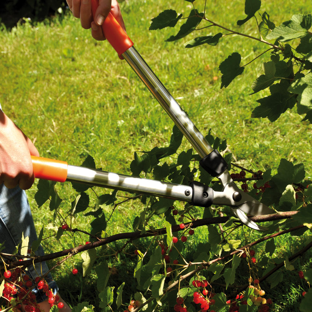 Petit sécateur à branchages bypass Löwe®, longueur 400 mm