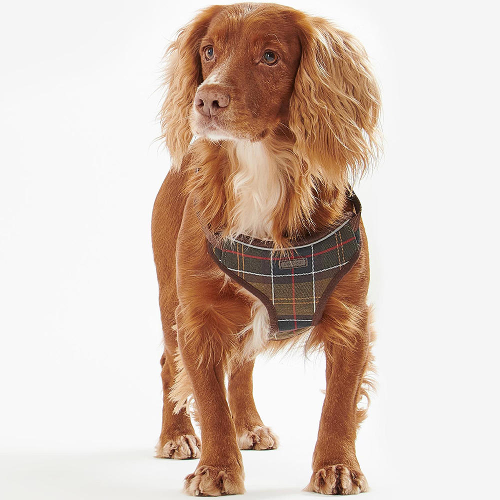 Barbour Hundegeschirr Travel and Exercise, classic tartan