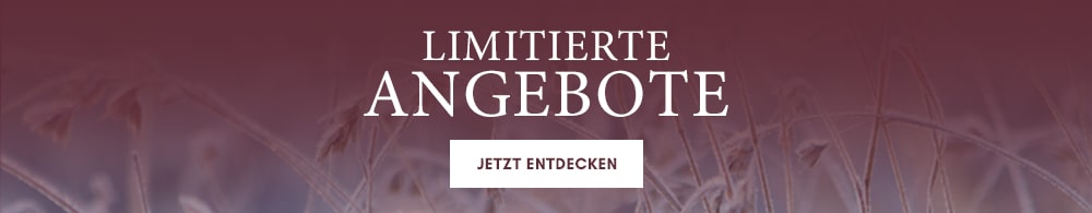 Banner_Abverkauf_Start_DE-min (1)