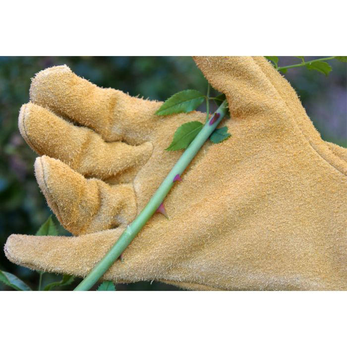 Rostaing® Gartenhandschuhe »Roncier«, Größe 8