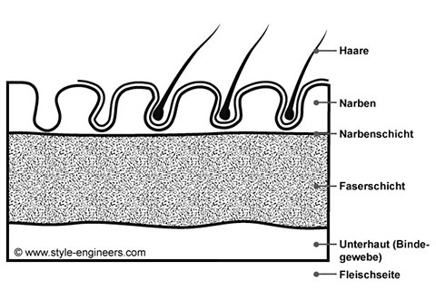haut-aufbau haut-aufbau