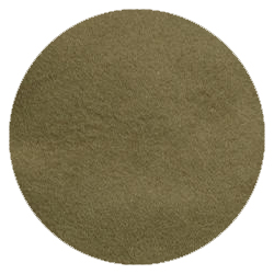 Loden