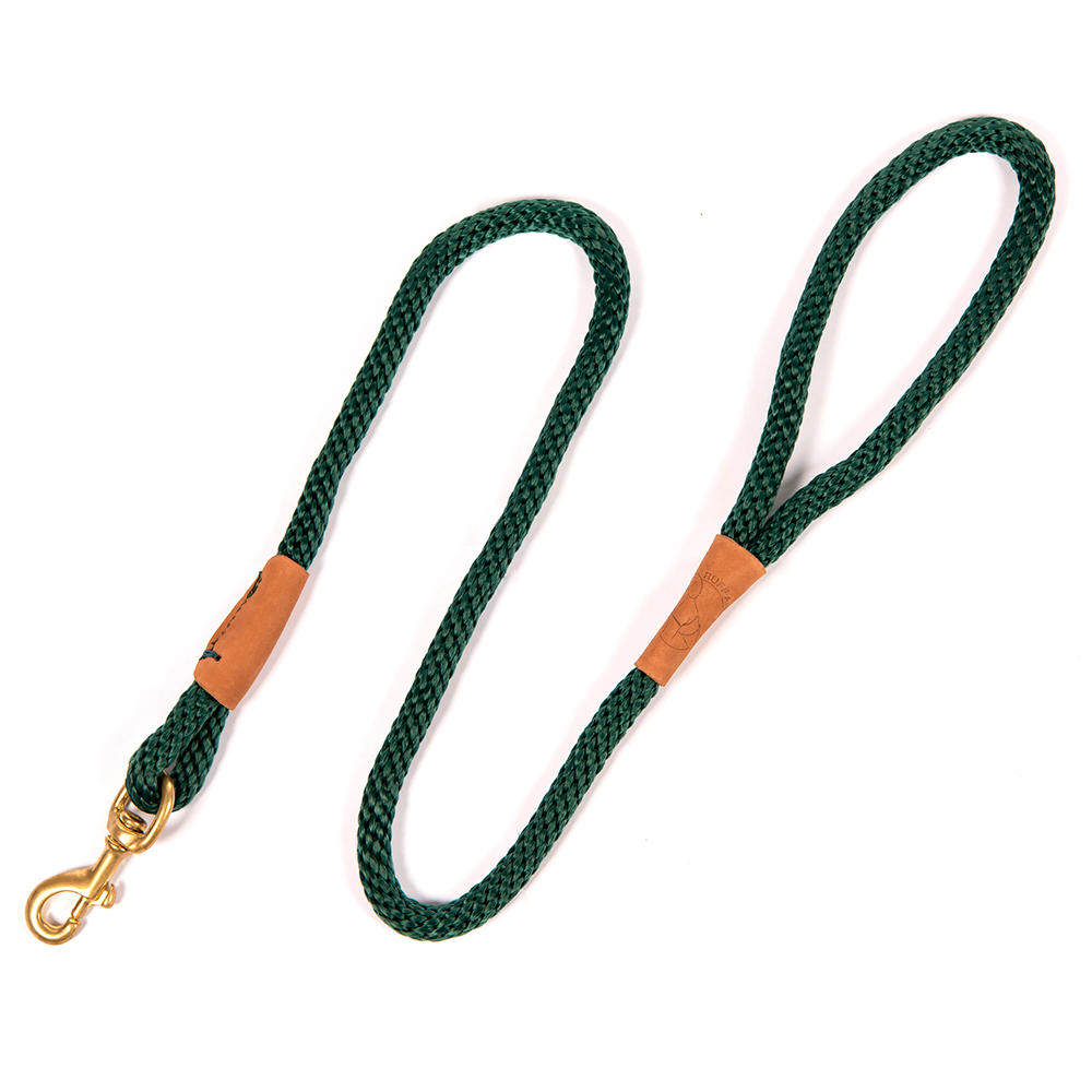 Laisse de chien, couleur vert bouteille
