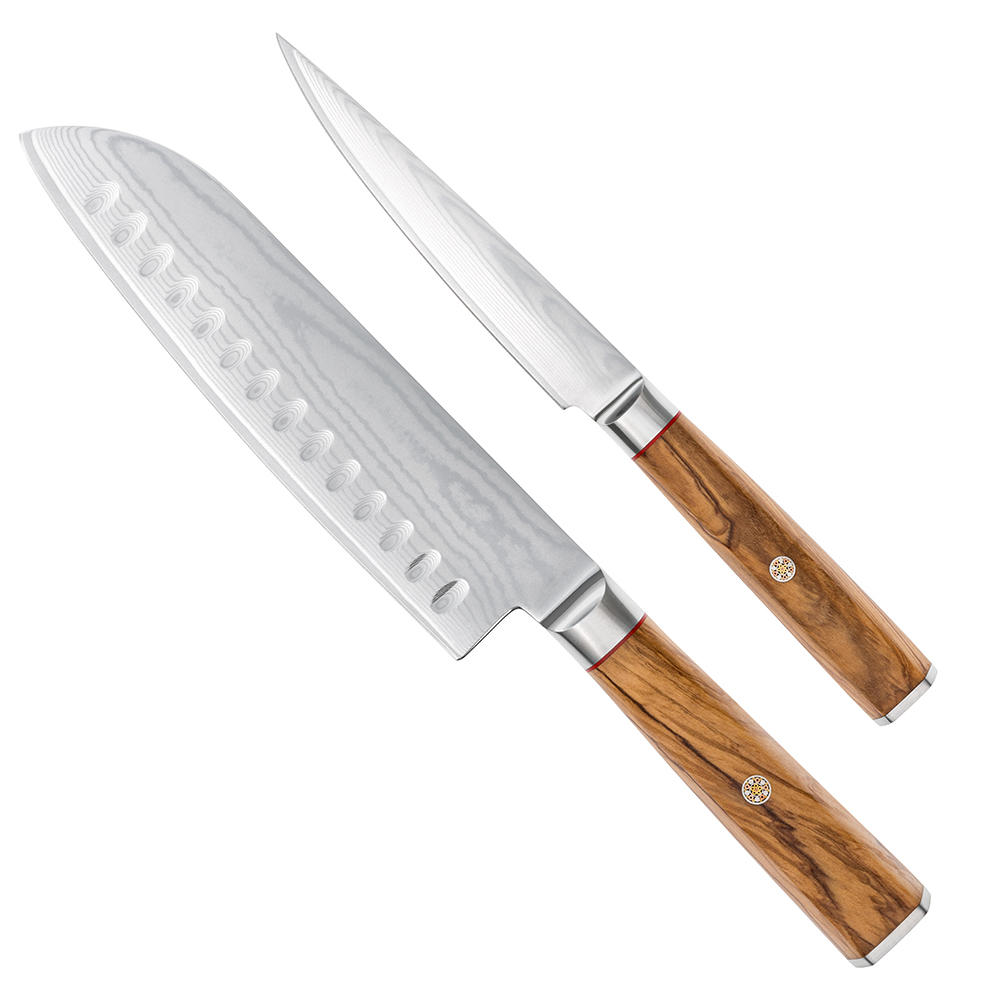 DICTUM® Messerserie »Olive«, Satz, 2-teilig