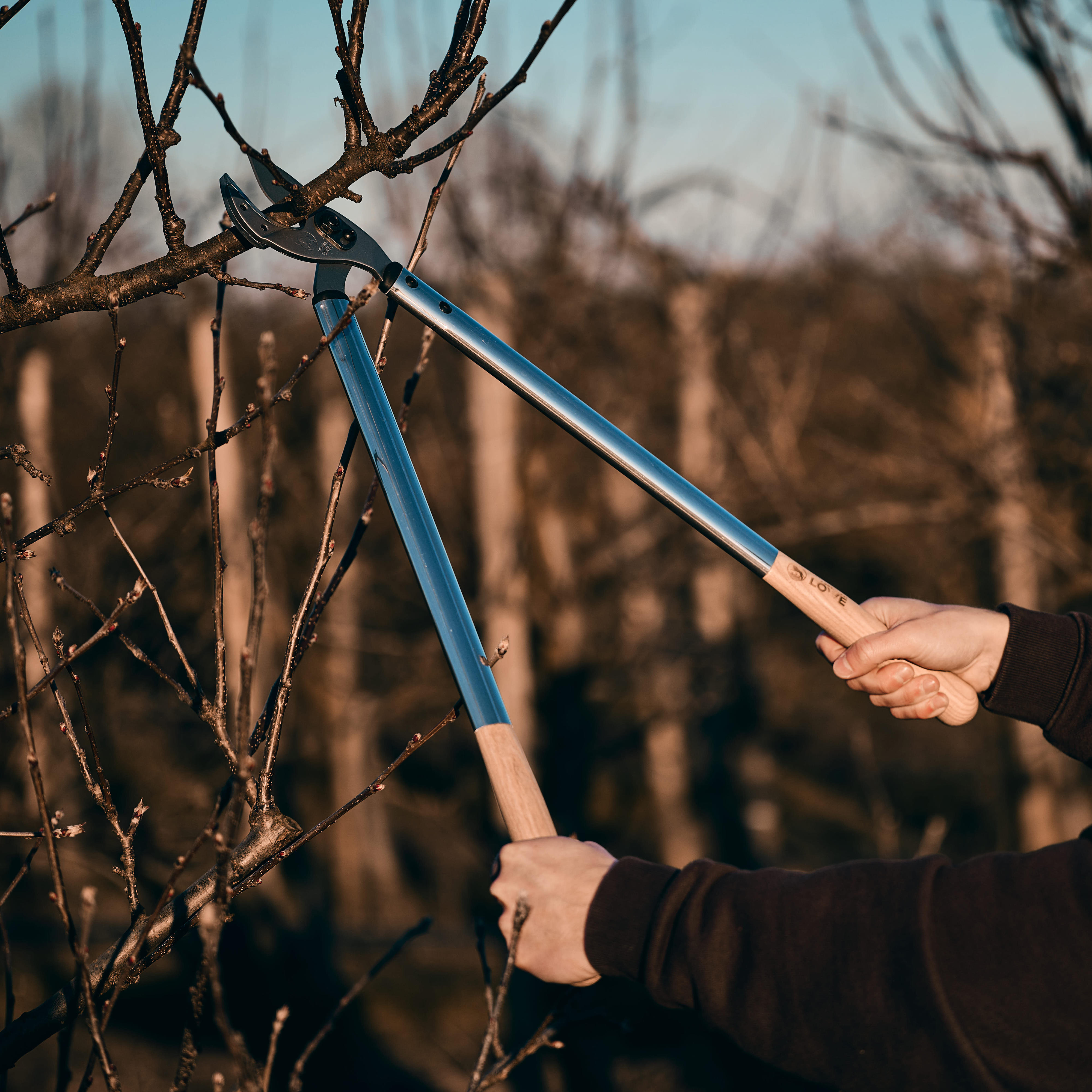 Löwe® 22 »Natural« Anvil Pruning Loppers with Curved Blade