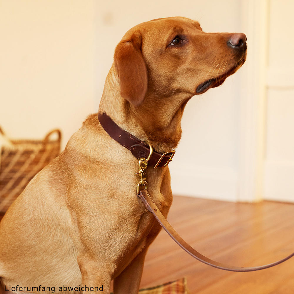 Helen Wells Hundehalsband »Classic«, chestnut, L+ 
