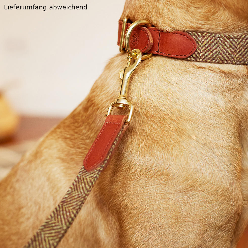 Laisse de chien Helen Wells » Tweed Classic «, beech, 80 cm 