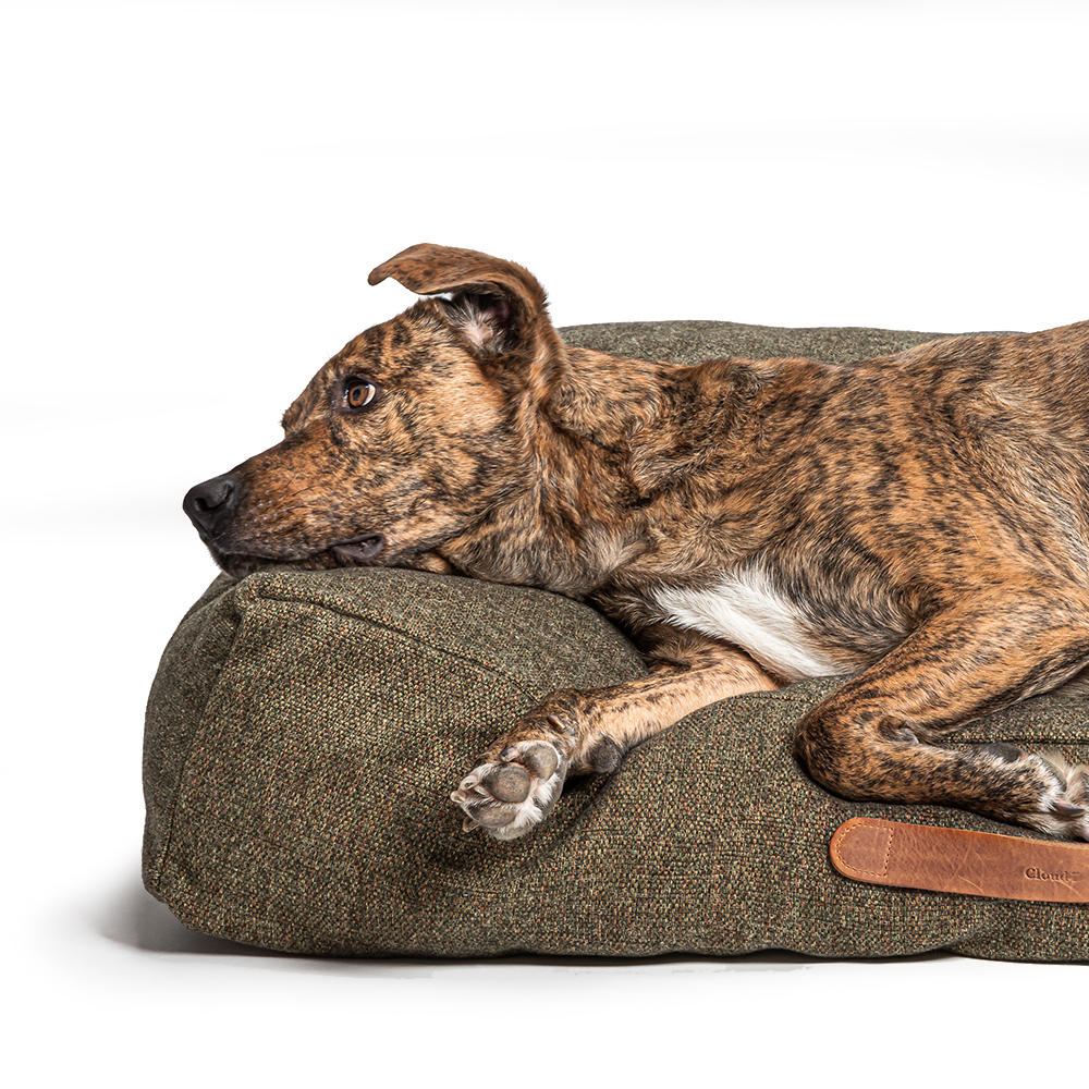 Cloud7 Hundebett Homey Mélange Olive, Größe L