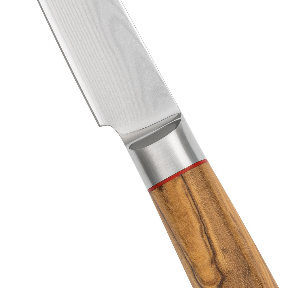 DICTUM® Steak- und Tafelmesser »Olive«, Satz, 2-teilig
