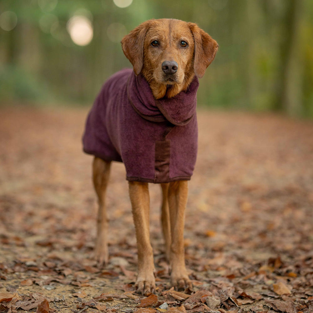 Dog Drying Coat, Country Collection burgundy M/L 826333/M/L