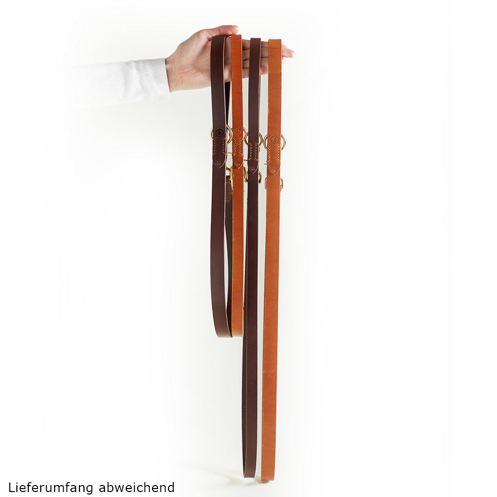 Laisse de chien Helen Wells » Classic «, noisette, 120 cm 