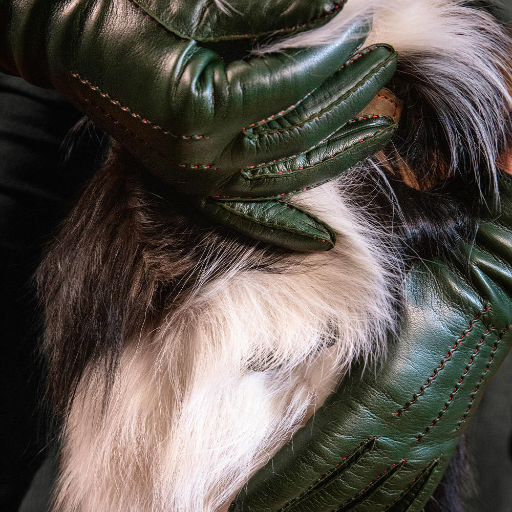 Gants pour femme CAEN, cuir nappa/poil de mouton, doublure cachemire