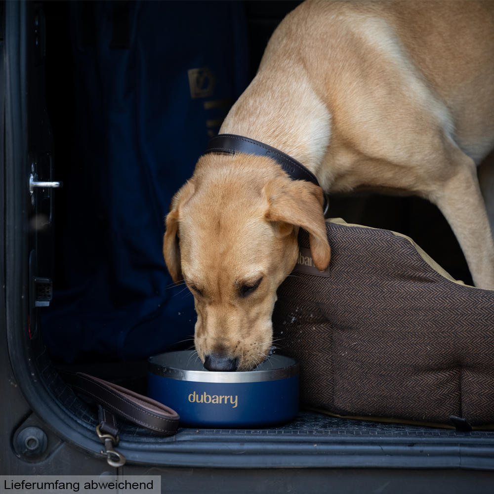 Dubarry Hundenapf »Archie«
