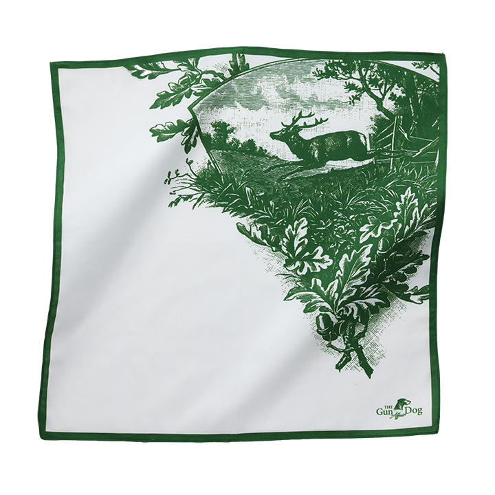 Mouchoir » Cerf «, blanc/vert