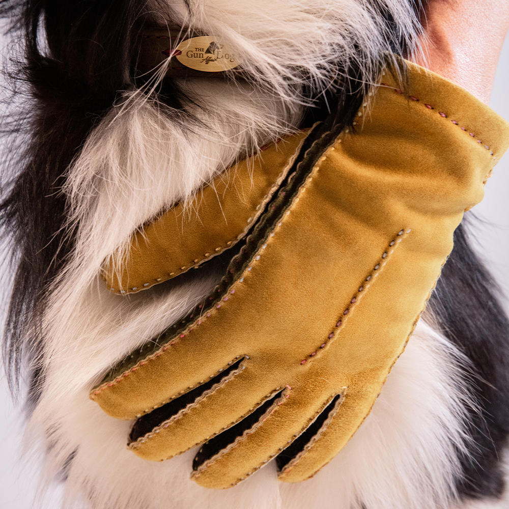 Gants pour femme FORLI, velours de chèvre, doublure en cachemire