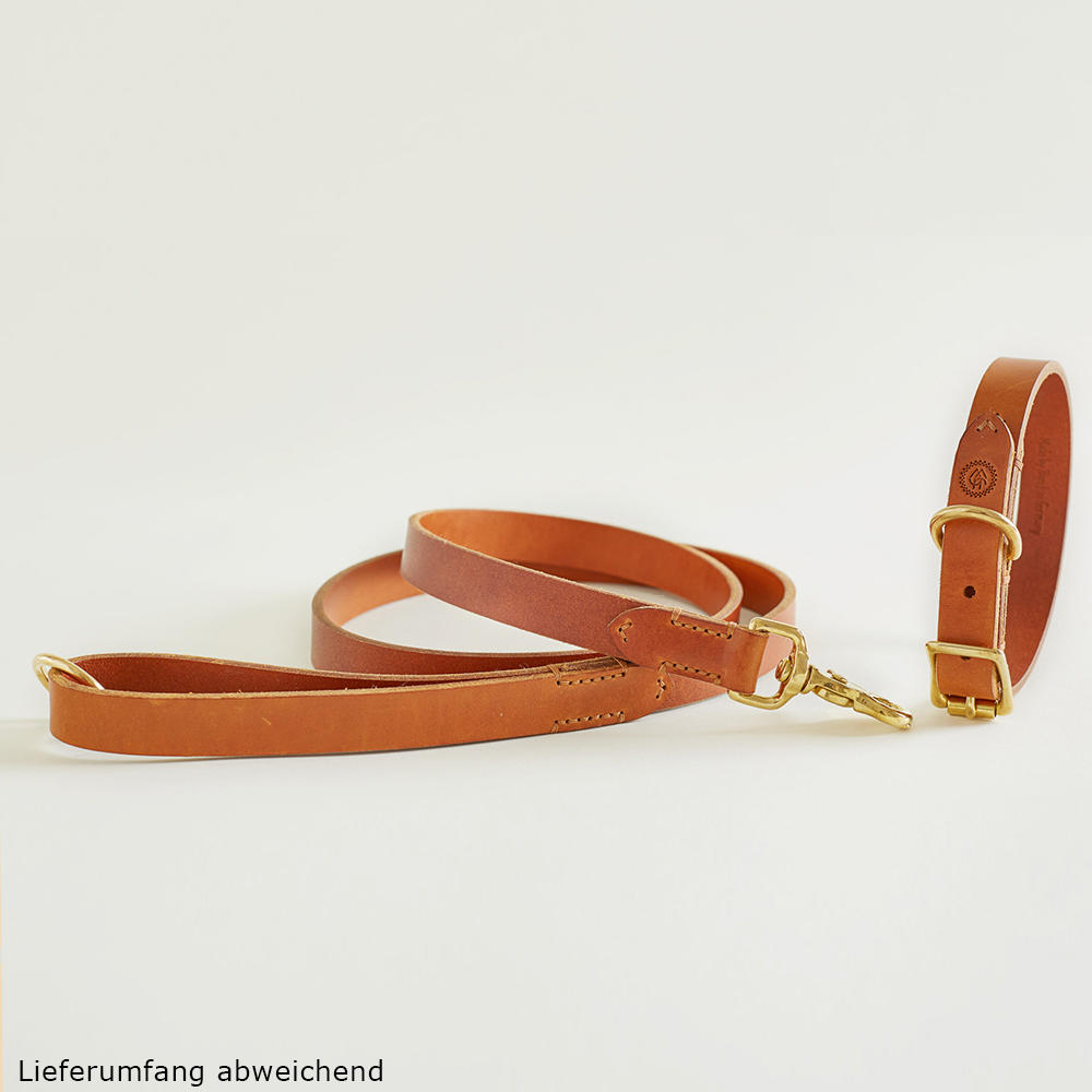 Helen Wells »Classic« Dog Collar, Cognac XS 