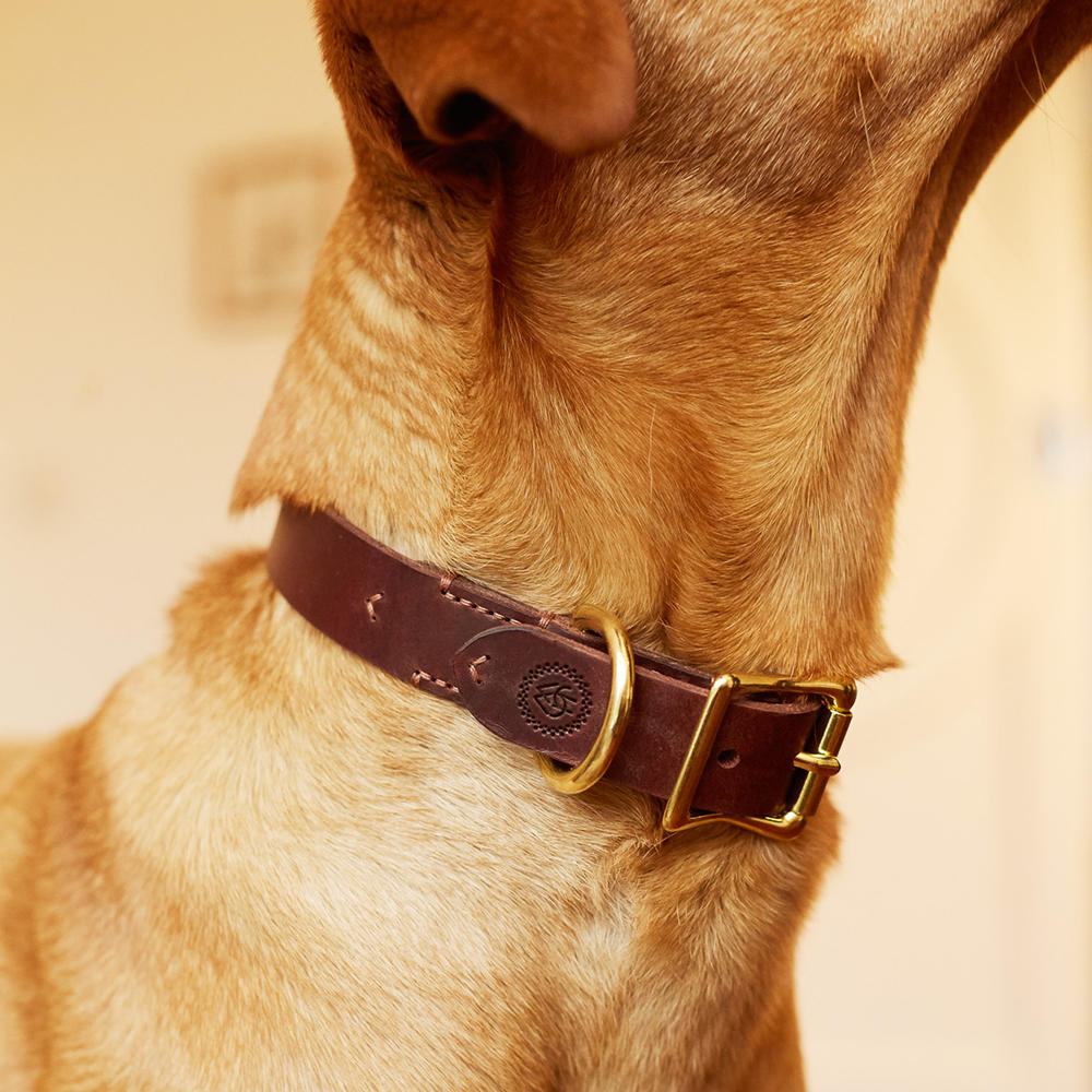 Helen Wells Hundehalsband »Classic«, chestnut, L+ 