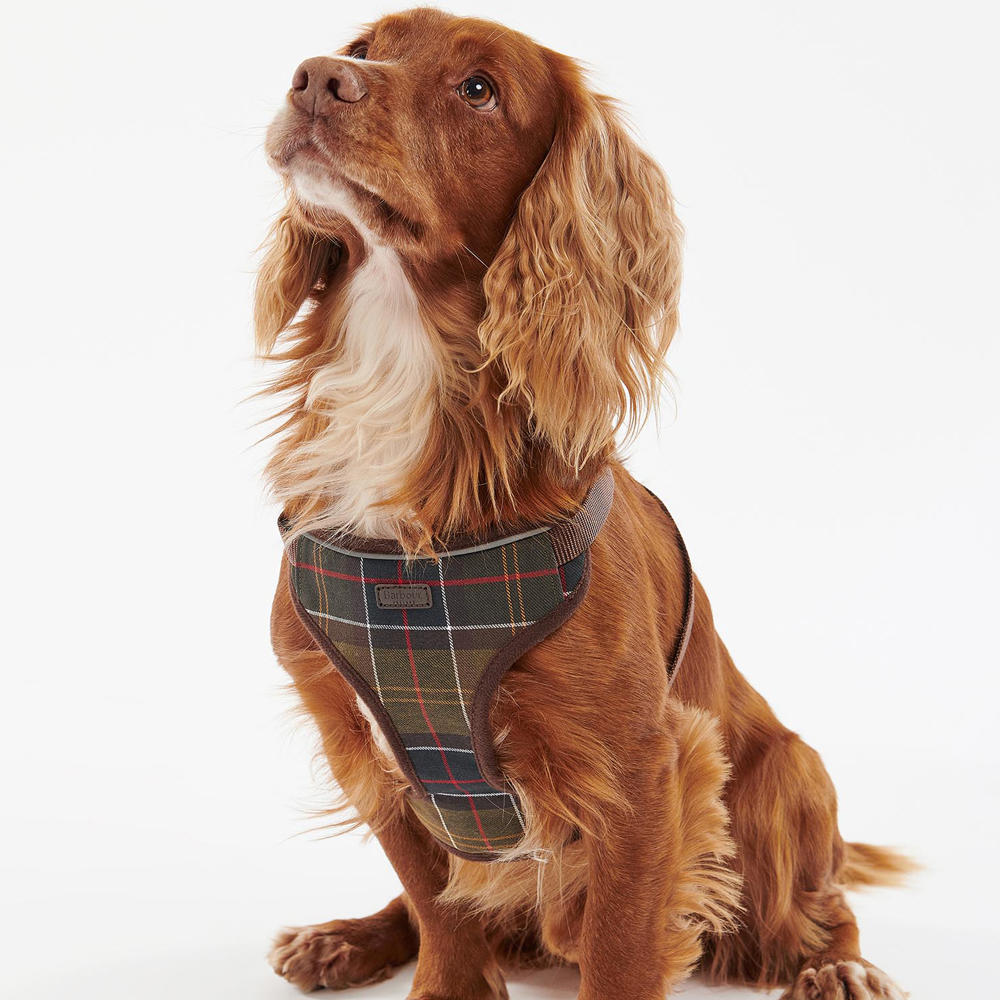 Barbour Hundegeschirr Travel and Exercise, classic tartan