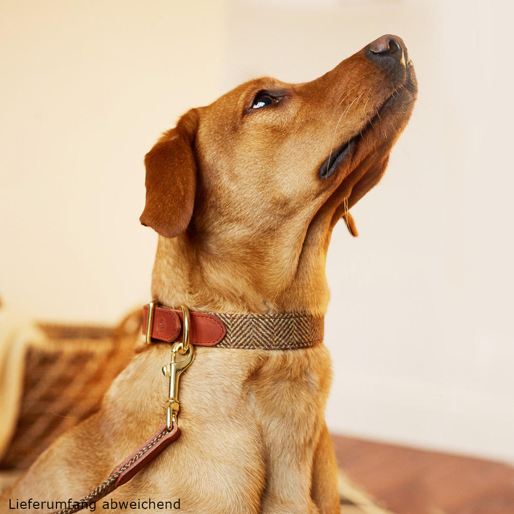 Helen Wells Hundehalsband »Tweed Classic«, beech, L+ 