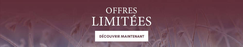 Banner_Abverkauf_Start_FR-min