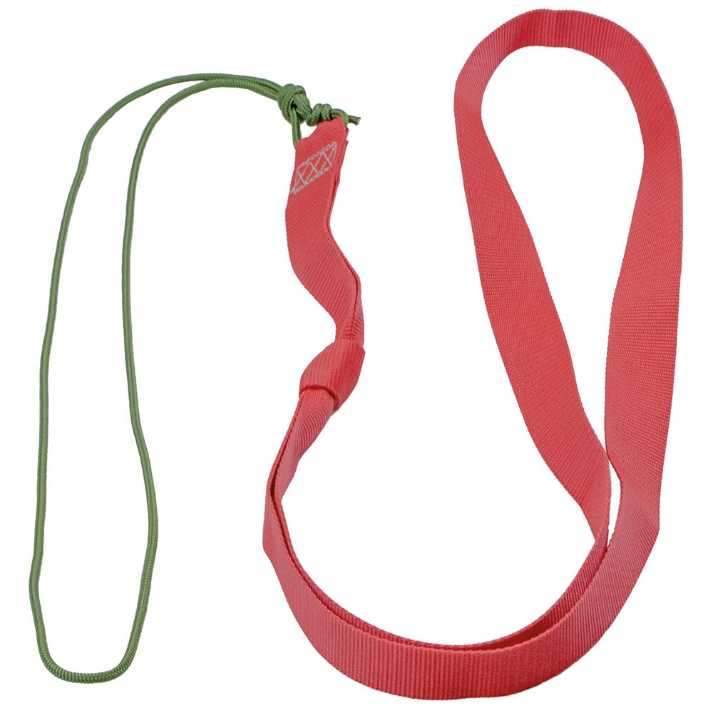 Wildbergehilfe Mufflon