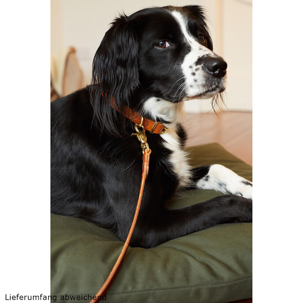 Laisse de chien Helen Wells » Classic «, cognac, 80 cm 