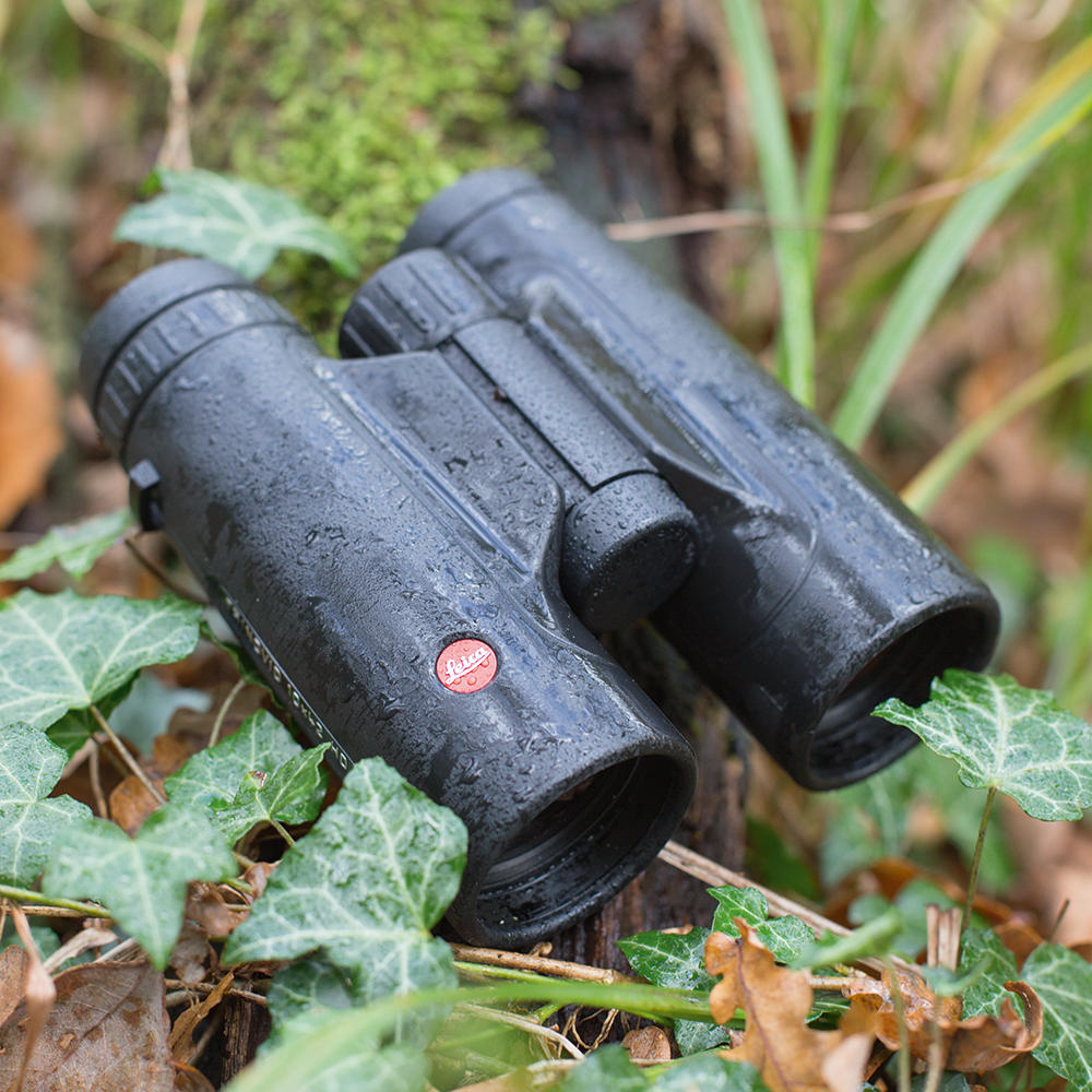 Jumelles Leica Trinovid HD 8 x 42