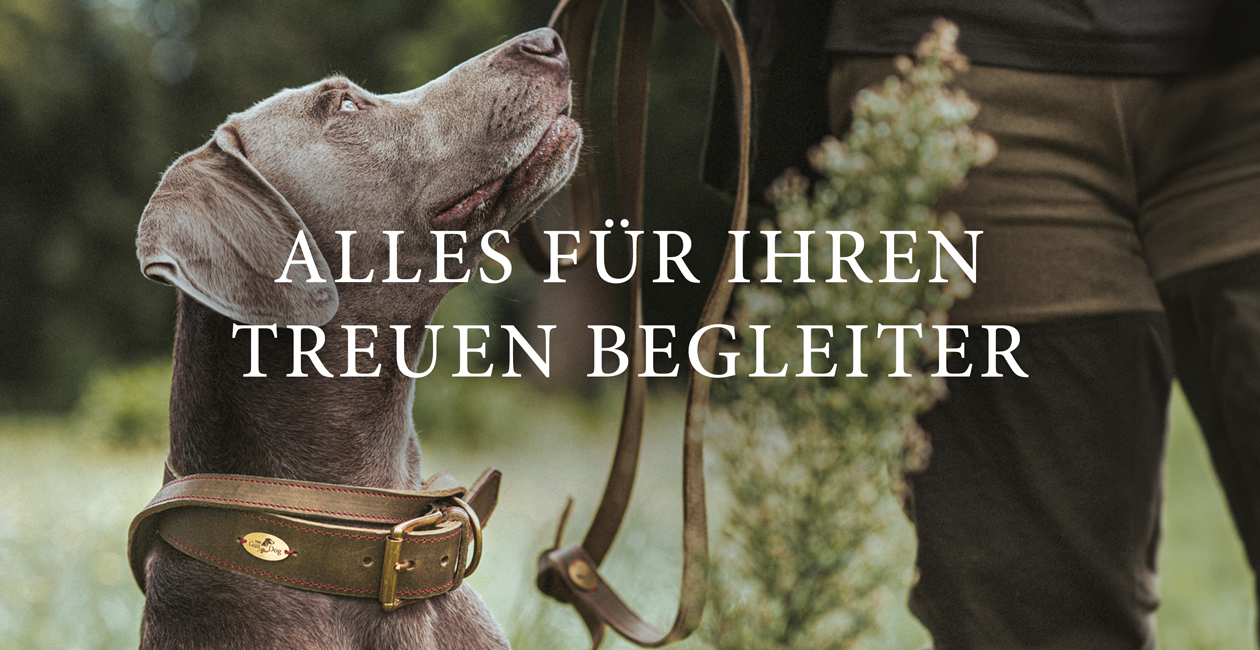 Banner_oben_Hundebedarf_1260x650_DE