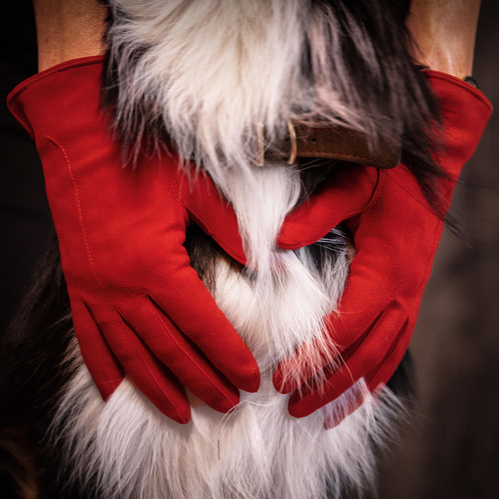 »Salo« Ladies Gloves, Reindeer Suede, Unlined