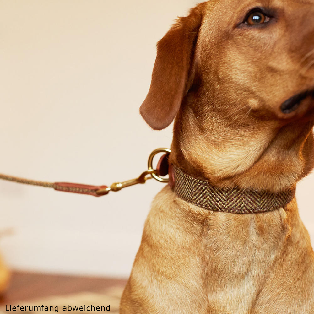 Helen Wells Hundehalsband »Tweed Classic«, beech, L+ 