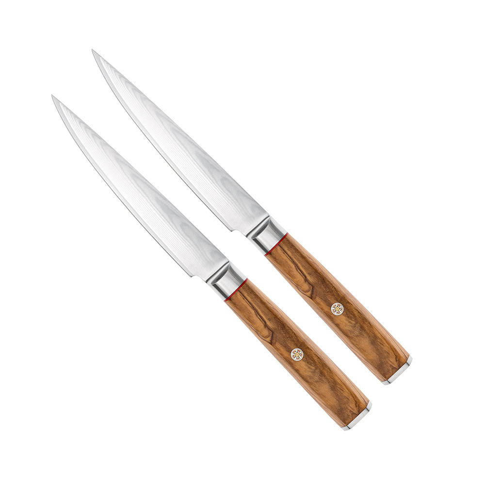 DICTUM® Steak- und Tafelmesser »Olive«, Satz, 2-teilig