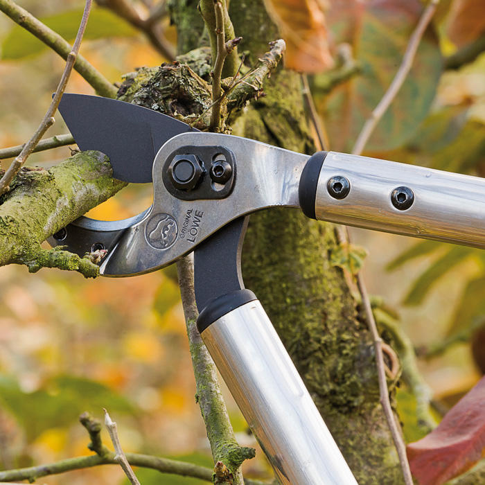 Löwe® 22 Amboss-Astschere mit gebogener Klinge