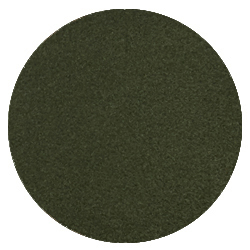 Forêt