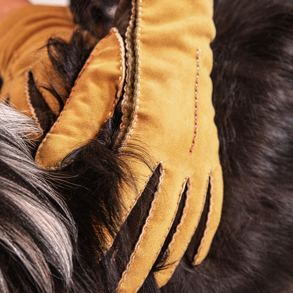 Gants pour femme FORLI, velours de chèvre, doublure en cachemire