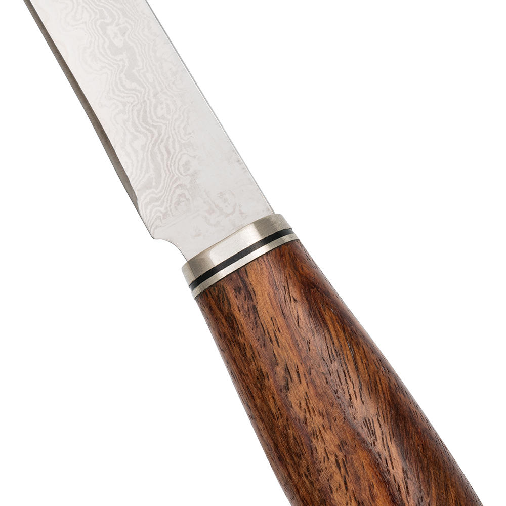 Steakmesser