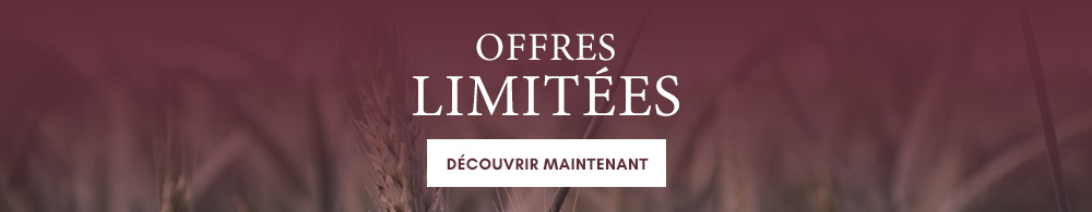 ABverkaufbanner_1_FR