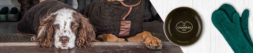 Kategoriebanner-Hundezubeh-r-min Kategoriebanner-Hundezubeh-r-min