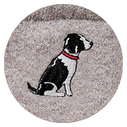 beige (Motiv: Springer Spaniel)