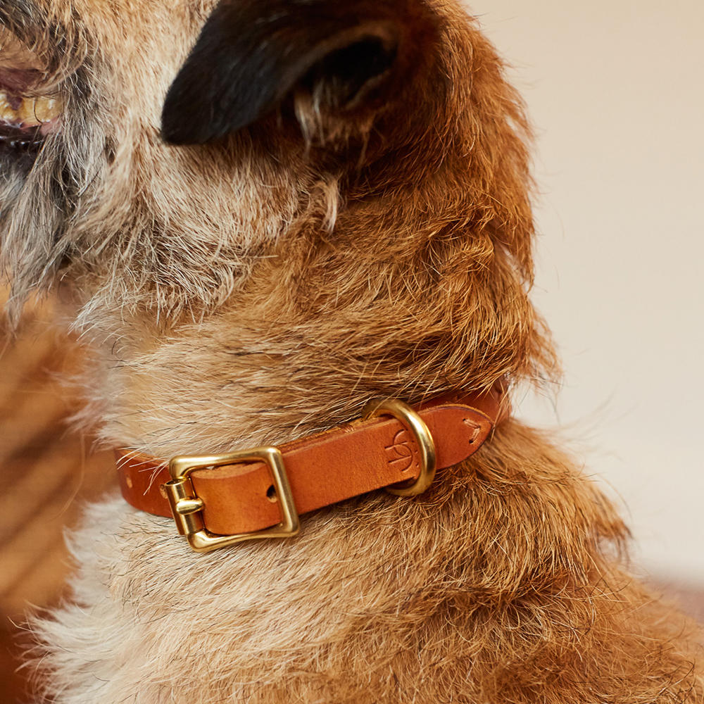 Helen Wells »Classic« Dog Collar, Cognac XS 
