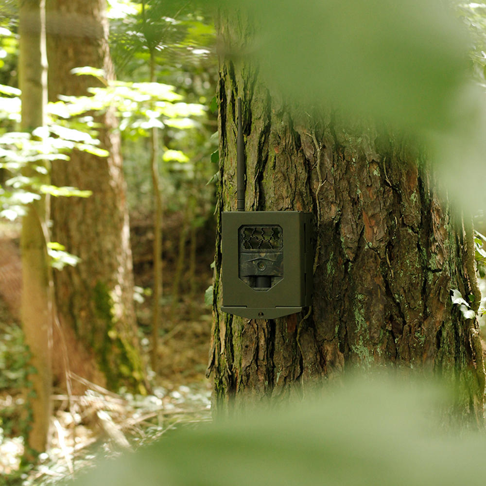 Steel Housing for  Seissiger Special-Cam LTE
